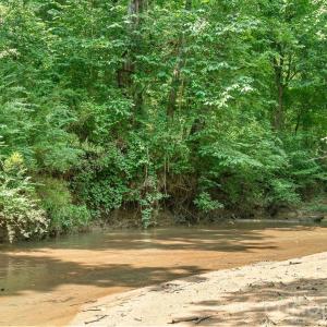 Photo #14 of Hwy 72, Carlisle, SC