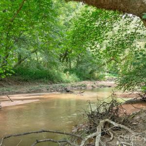 Photo #20 of Hwy 72, Carlisle, SC
