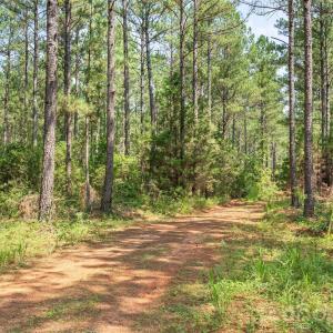 Photo #5 of Hwy 72, Carlisle, SC