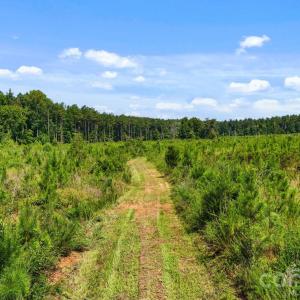 Photo #24 of Hwy 72, Carlisle, SC