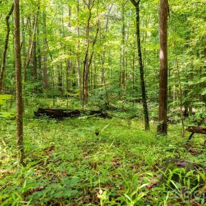Photo #7 of 3312 McConnells, Sharon, SC