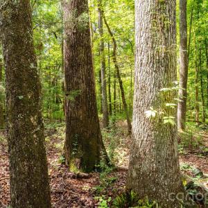 Photo #48 of 3312 McConnells, Sharon, SC