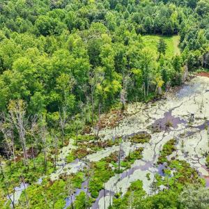 Photo #29 of 3312 McConnells, Sharon, SC