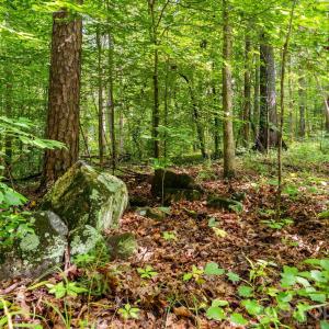 Photo #15 of 3312 McConnells, Sharon, SC