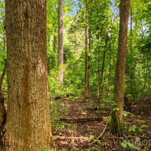 Photo #47 of 3312 McConnells, Sharon, SC