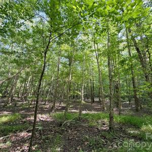 Photo #3 of 6244 Oakridge, Lake Wylie, SC