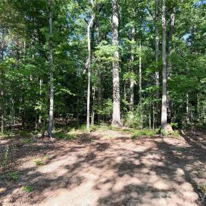Photo #6 of 6244 Oakridge, Lake Wylie, SC