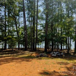Photo #14 of 955 Cole Trestle, Blair, SC