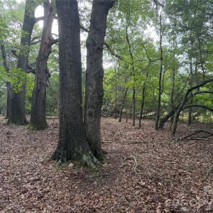 Photo #5 of Chappell, McConnells, SC