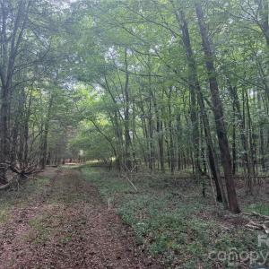 Photo #8 of Chappell, McConnells, SC