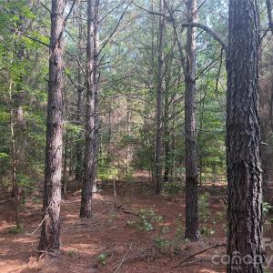 Photo #7 of Chappell, McConnells, SC