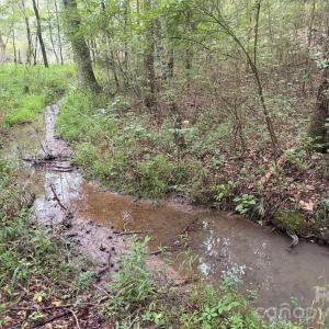 Photo #26 of Chappell, McConnells, SC
