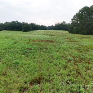 Photo #4 of Chappell, McConnells, SC