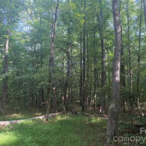 Photo #21 of Chappell, McConnells, SC