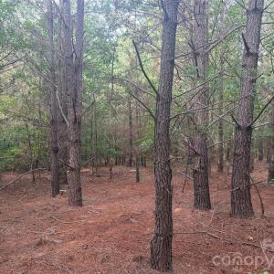 Photo #19 of Chappell, McConnells, SC