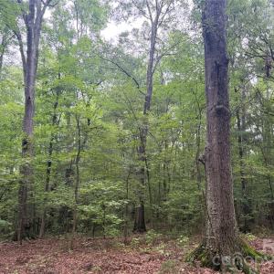 Photo #25 of Chappell, McConnells, SC