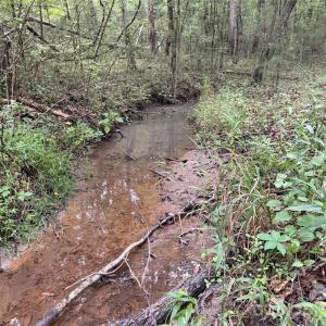 Photo #2 of Chappell, McConnells, SC