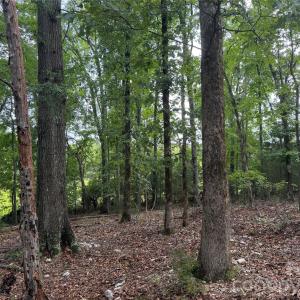 Photo #17 of Chappell, McConnells, SC