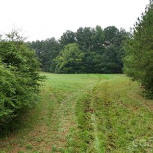 Photo #6 of Chappell, McConnells, SC