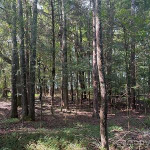 Photo #22 of Chappell, McConnells, SC