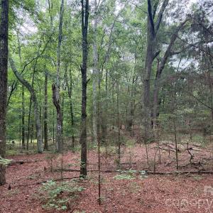 Photo #27 of Chappell, McConnells, SC