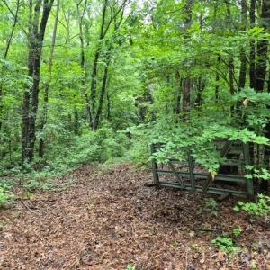 Photo #3 of 3231 Shadybark, Catawba, SC