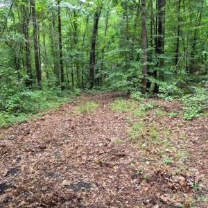 Photo #2 of 3231 Shadybark, Catawba, SC