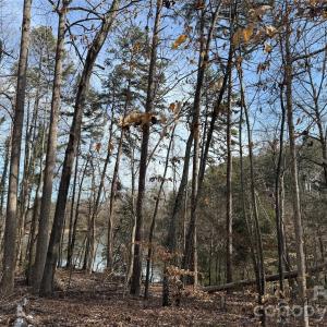 Photo #4 of 868 Bellegray, Clover, SC