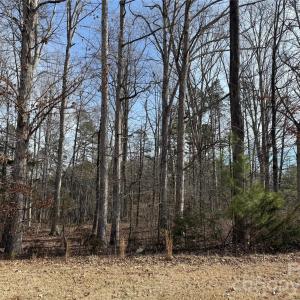 Photo #3 of 868 Bellegray, Clover, SC
