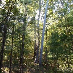 Photo #6 of 25 Ac Brandon, Clover, SC