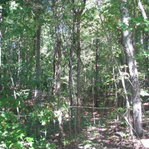 Photo #4 of 25 Ac Brandon, Clover, SC