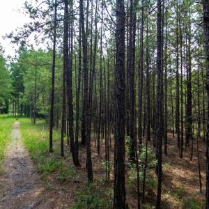 Photo #3 of 2682 Cold Springs, Concord, NC