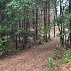 Photo #7 of 40896 Southbound, Albemarle, NC