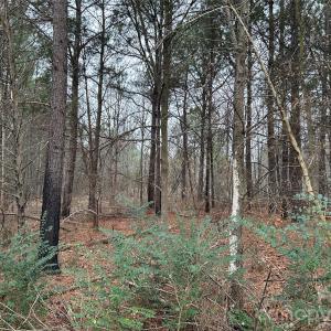 Photo #20 of 1440 Carl Taylor, Peachland, NC