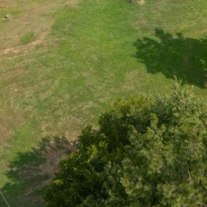 Photo #3 of Plantation, Lancaster, SC