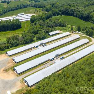 Photo #8 of Hogan Farm, Denton, NC