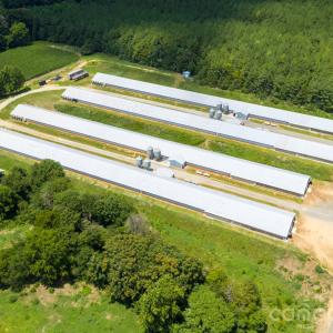 Photo #4 of Hogan Farm, Denton, NC