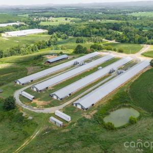 Photo #21 of Hogan Farm, Denton, NC
