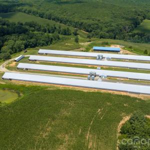 Photo #23 of Hogan Farm, Denton, NC