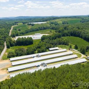 Photo #9 of Hogan Farm, Denton, NC