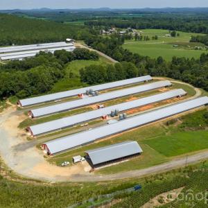 Photo #16 of Hogan Farm, Denton, NC