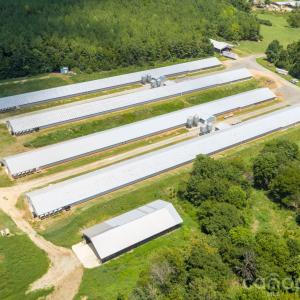 Photo #3 of Hogan Farm, Denton, NC