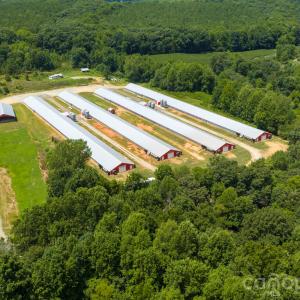 Photo #14 of Hogan Farm, Denton, NC
