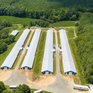 Photo #6 of Hogan Farm, Denton, NC