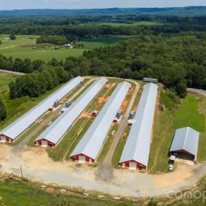 Photo #17 of Hogan Farm, Denton, NC