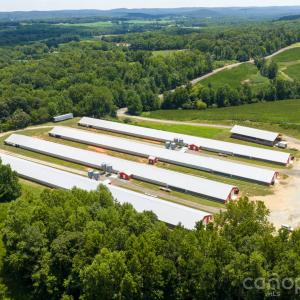 Photo #19 of Hogan Farm, Denton, NC
