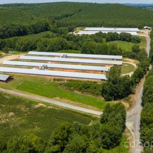 Photo #15 of Hogan Farm, Denton, NC