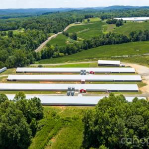 Photo #11 of Hogan Farm, Denton, NC