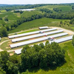 Photo #12 of Hogan Farm, Denton, NC