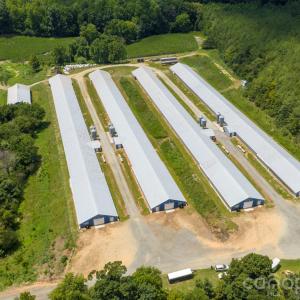 Photo #5 of Hogan Farm, Denton, NC